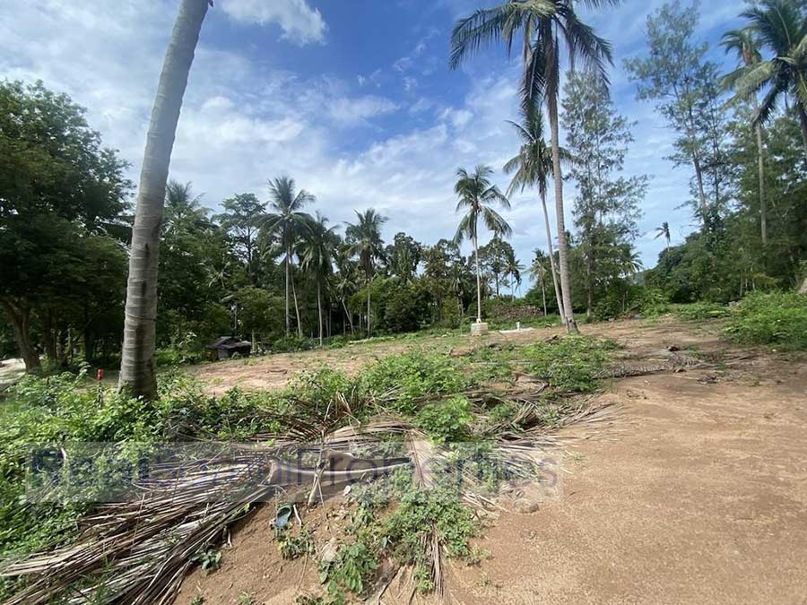 660 sqm of Garden View Land at Lamai
